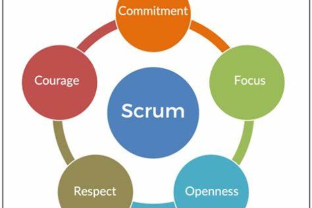 Why organizations do have success using Scrum framework